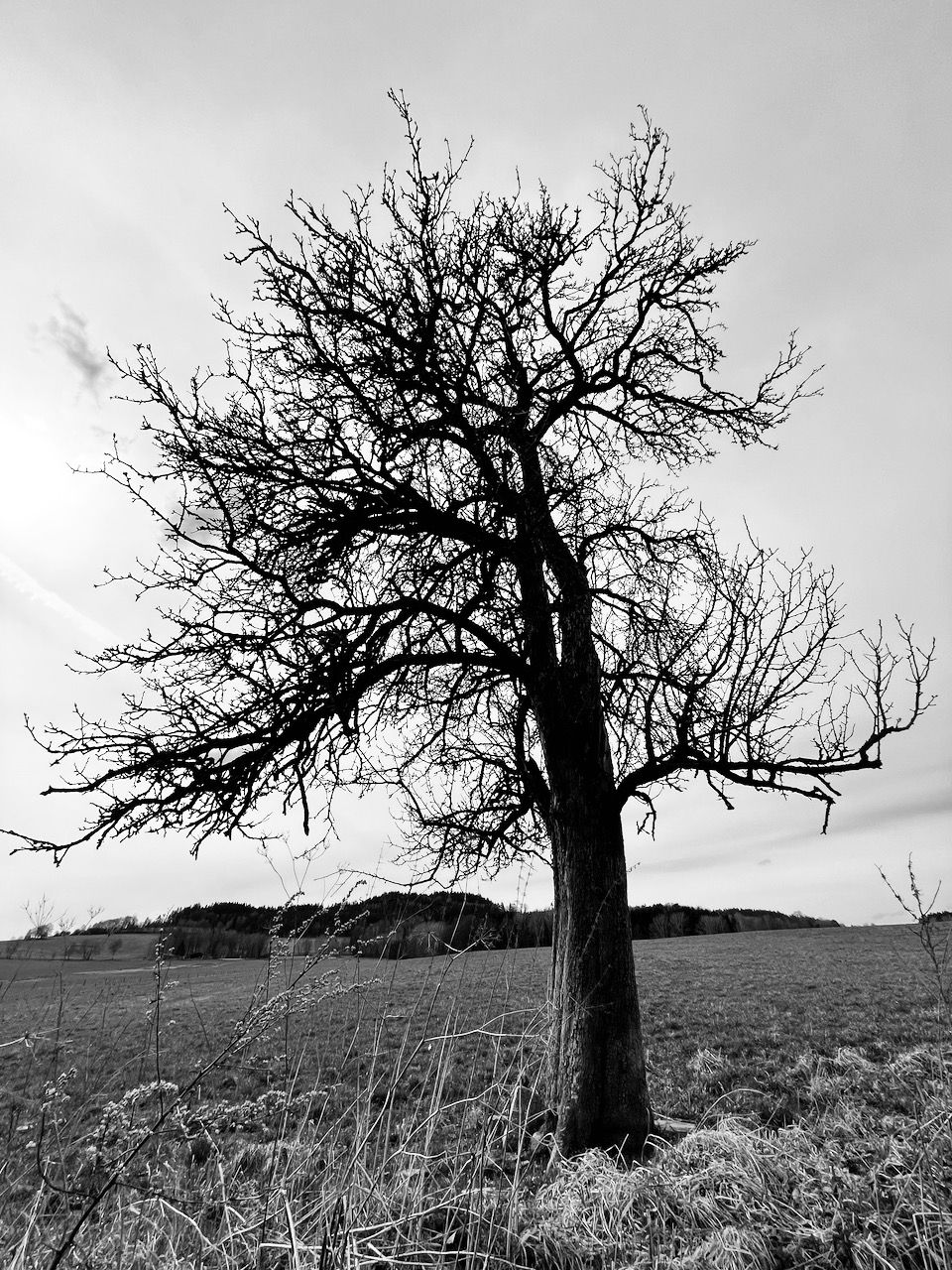Pozemek jako odkaz dalším generacím