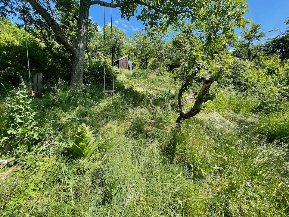 Malý a velký zázraky