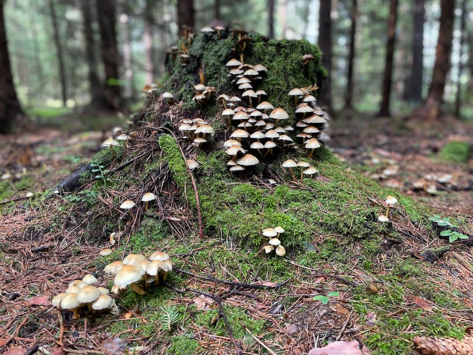 Nemusím to překonat