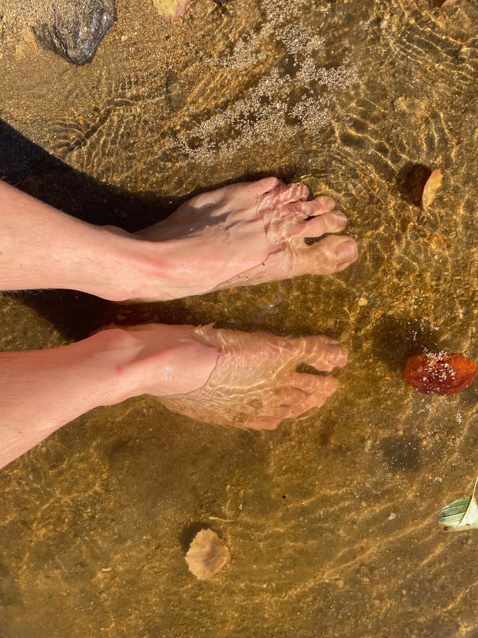 Co se změnit nedá...