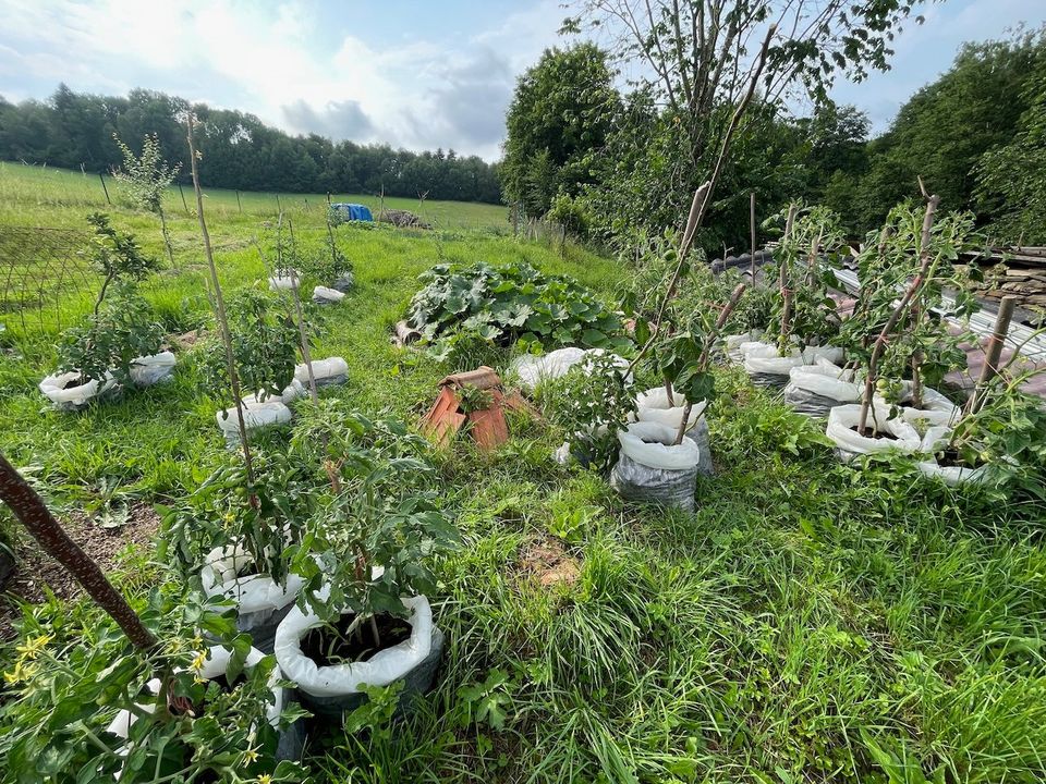 Zahrádka po prvním roce