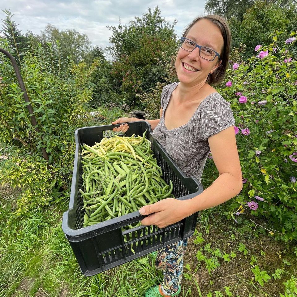 Fazolový triumf vůle