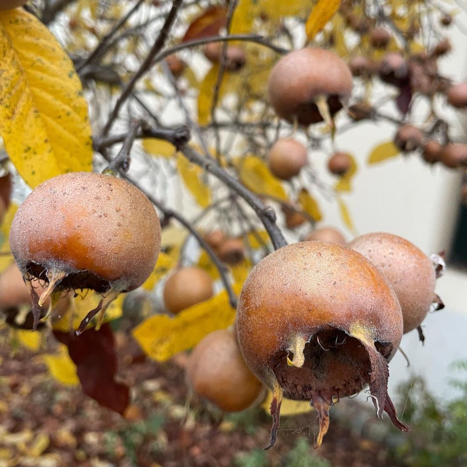 Pracovat na krásnejch věcech a žít naplněnej život